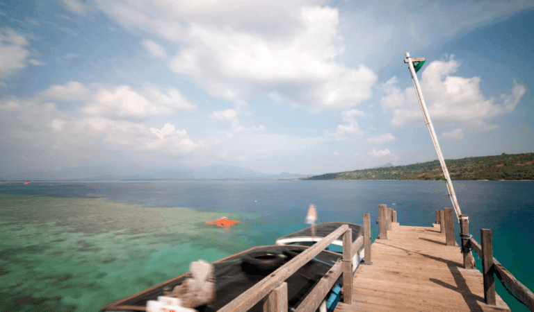 Featured image for:Menjangan Island Snorkelling: Dive into an Underwater Paradise