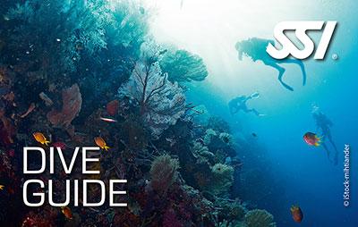 Dive Guide