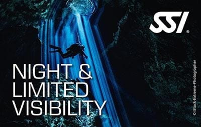 Become a night diver and explore marine life that only comes out at night.