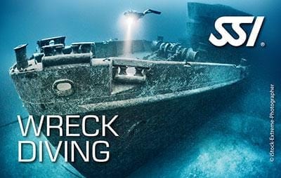 Discover the world of wreck diving and explore iconic towering shipwrecks and World War airplanes.